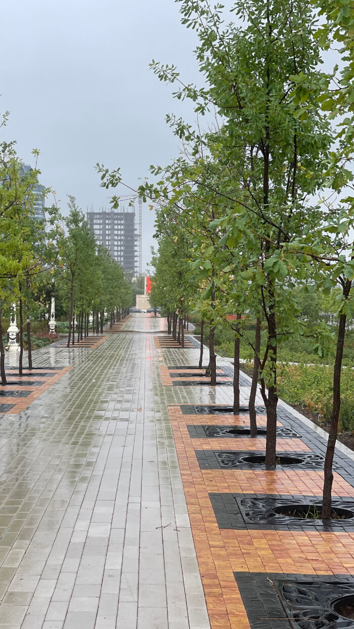 Приствольная решетка для дерева ZKING CRUST 1.2х1.2м Черная в Петрозаводске фото