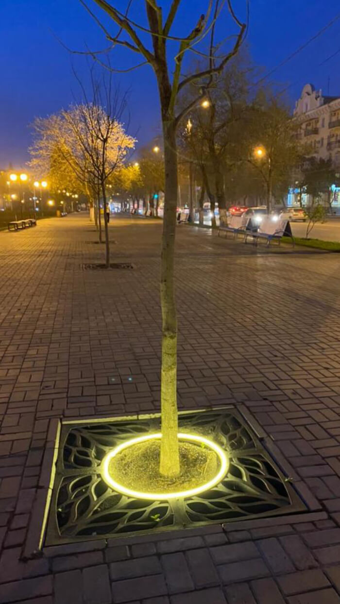 Приствольная решетка для дерева ZKING CRUST 1.2х1.2м Черная в Петрозаводске фото